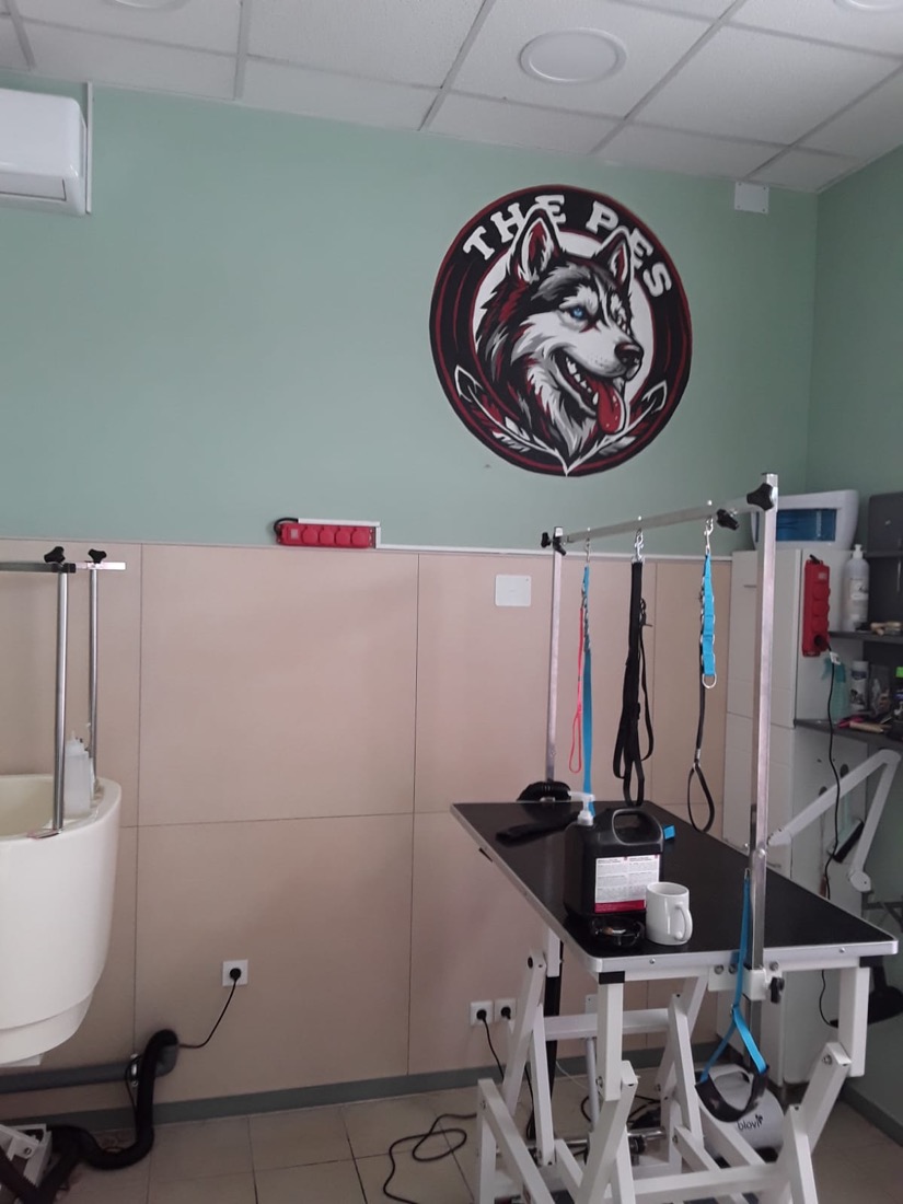 Unutrašnjost salona The PES s logom na zidu